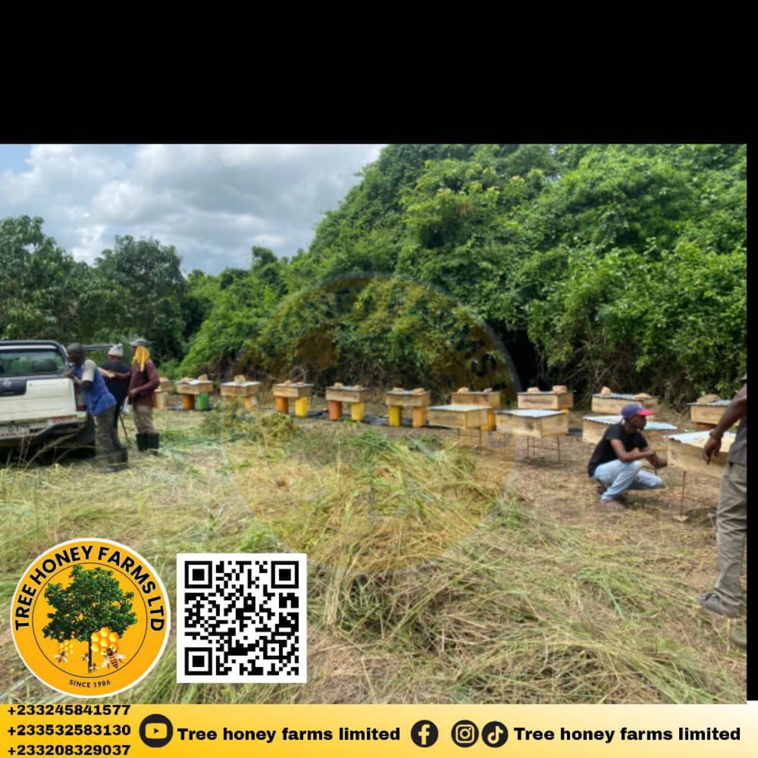 Treehoneyfarms beehives in Ghana