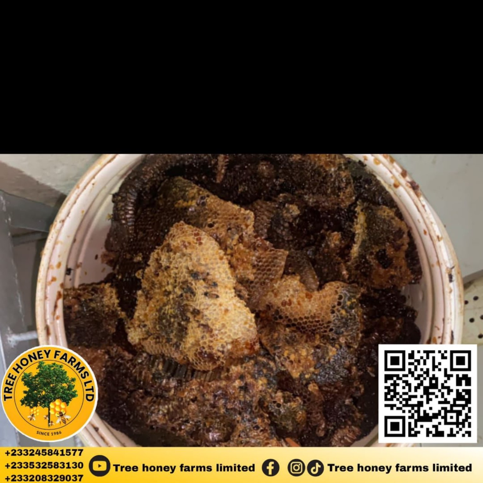 Treehoneyfarms apiary